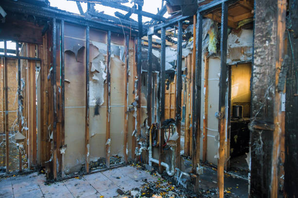 Professional Smoke Damage Removal technician working in Grover Beach, CA